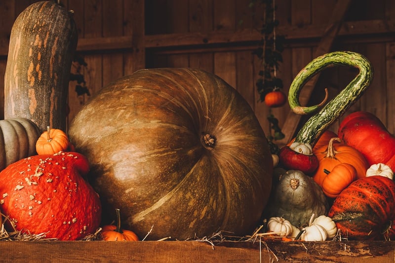 Seasonal Harvest